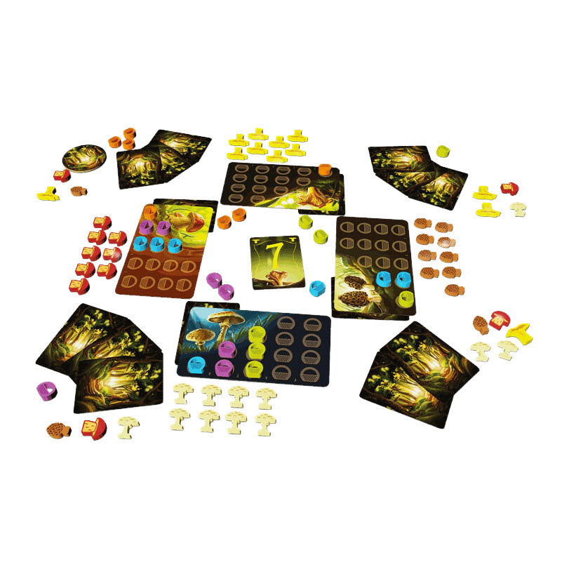 Geronimo Games Blue Orange Board Game Wonder Woods