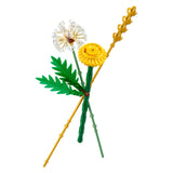 Lego botanicals 30701 divé kvety