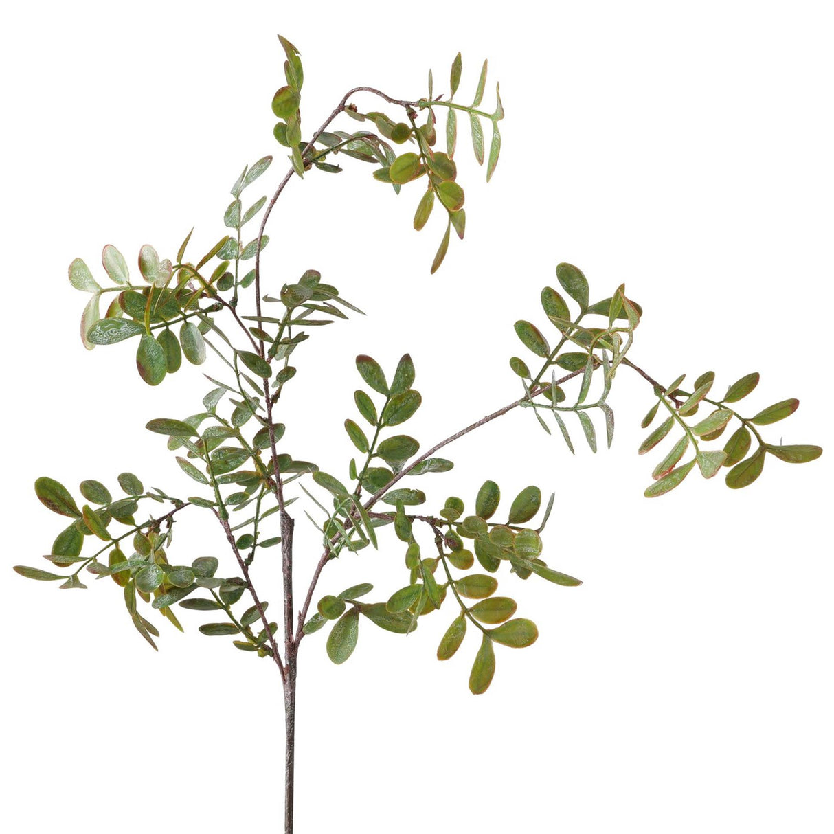 Boltze heminredningsgrenblad l94cm
