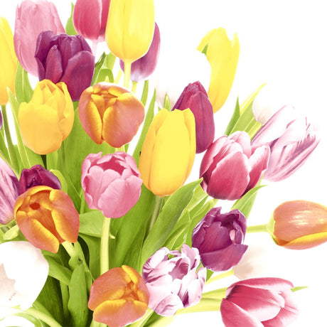 Duni ubrousky krásné tulipány 33x33cm