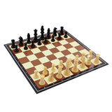 Jumbo Chess Dhenspel