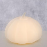Boltze hemstaty LED pumpa h8,4cm