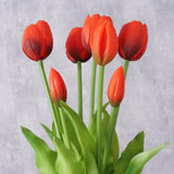 Boltze doheem kënschtlech Blummen Tulp 40cm rout