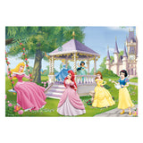 Ravensburger princese, 2x24st.