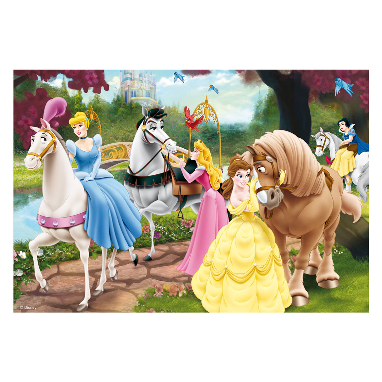 Ravensburger princese, 2x24st.