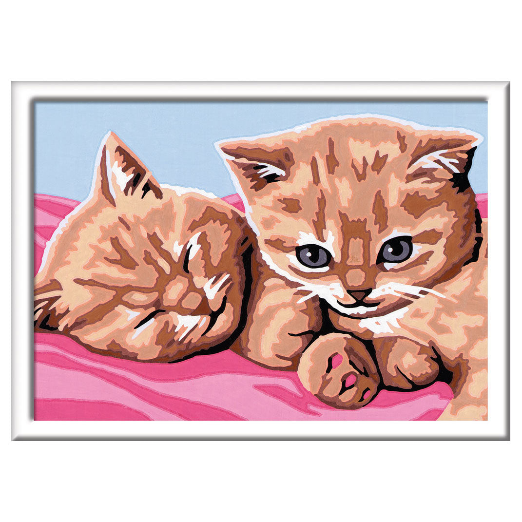 Ravensburger Painting by number cuddly friends