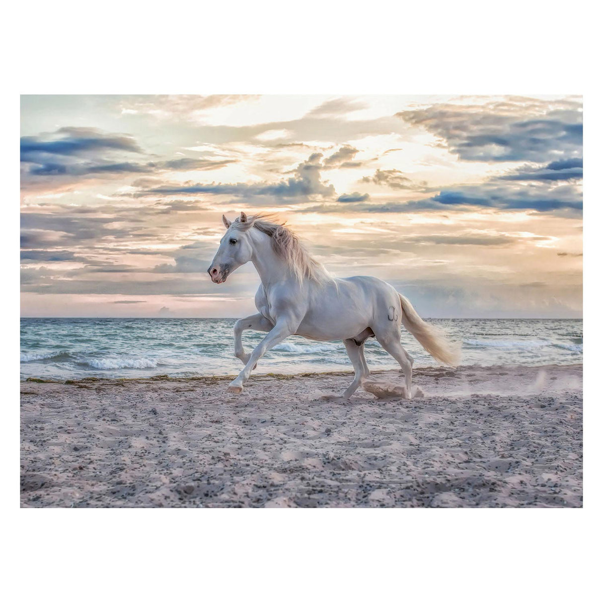 Ravensburger Horse on the Beach Legs puzzle 500st.