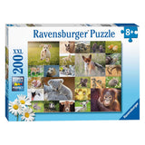 Ravensburger Puzzel Schattige Babydieren, 200st. XXL