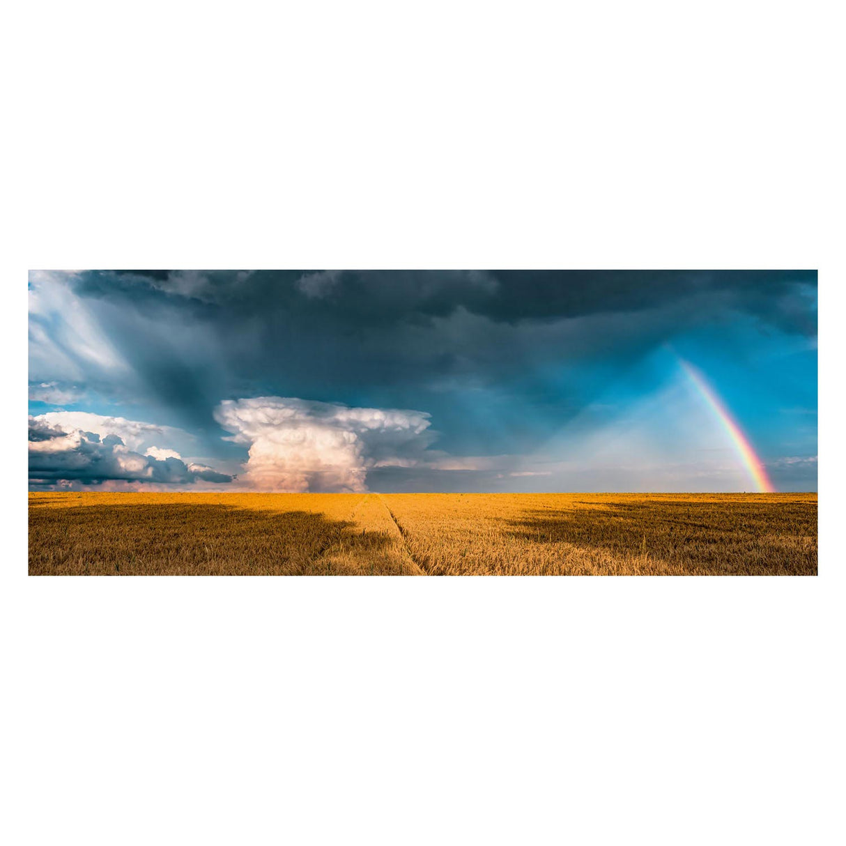 Puzzle Ravensburger mystická duha - skládačka - 1000 dílků