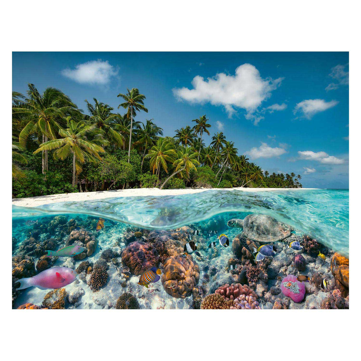 Ravensburger Puzzle une plongée sur les Maldives, 2000.