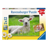 Ravensburger - Nutztiere Linien -Puzzle 2x12 Stücke