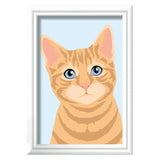 Ravensburger Pintura Ciora en el número Oranje Tabby