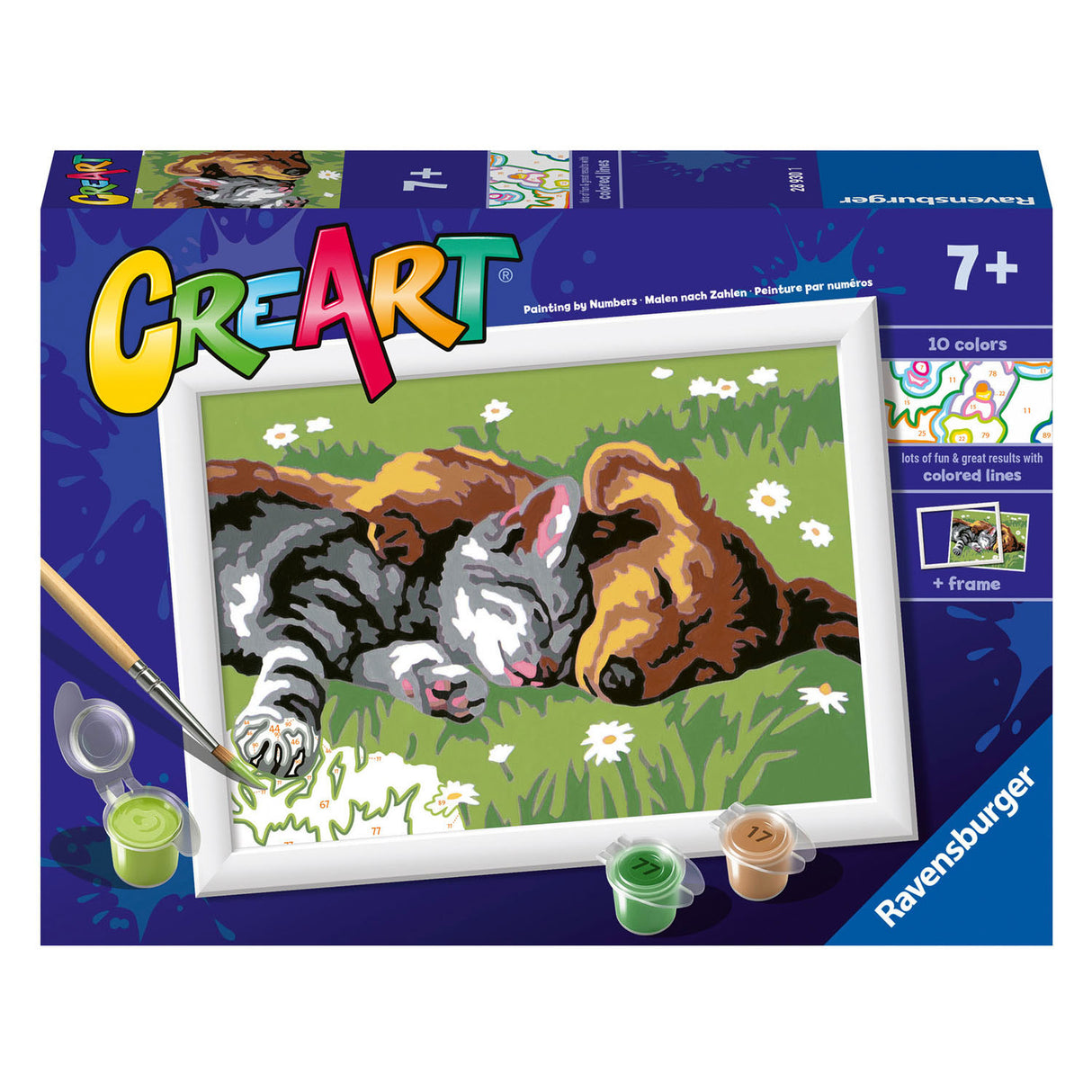 Ravensburger Pintura Ciora en número Cats y perros durmiendo