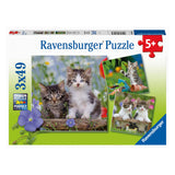 Ravensburger Legpuzzel Jonge Katjes, 3x49st.