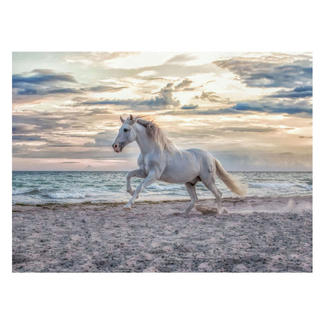 Ravensburger Legpuzzel Paard Op Het Strand, 500st.