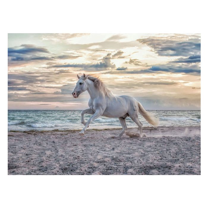 Ravensburger Jigsaw Puzzle Horse na plaži, 500st.