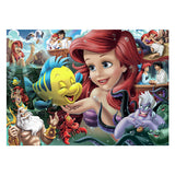 Ravensburger jigsaw puzzle De Kleine Zeemmin, 1000st.