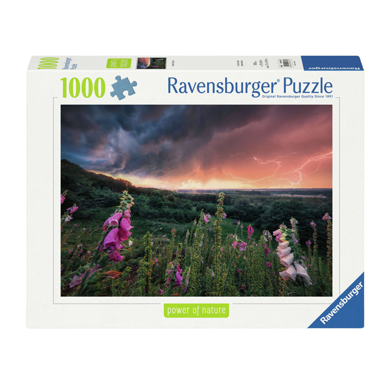 Ravensburger Puzzle Jigsaw Ein Sturm See Auf, 1000st.