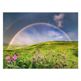 Ravensburger Jigsaw Puzzle Spectacularer Rainbows, 1500º.