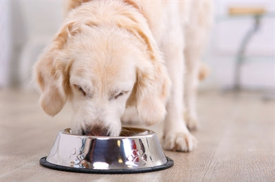 Happy Pet Food Bowl Anti -Lip