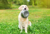 Happy pet stainless steel food bowl
