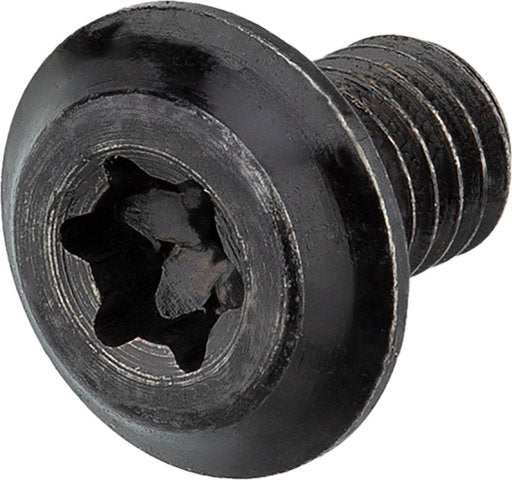 Cane creek lever screw