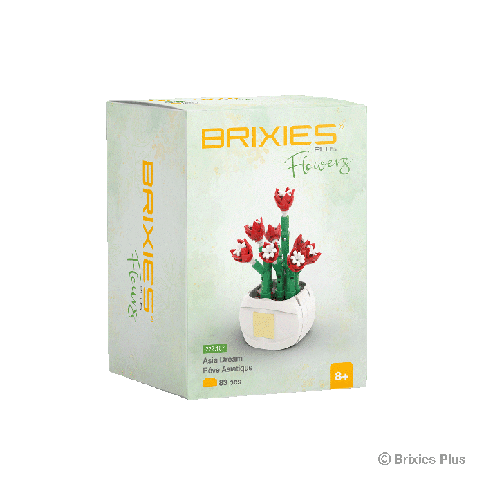 Oku Brixies Plus Flower Blossom building blocks