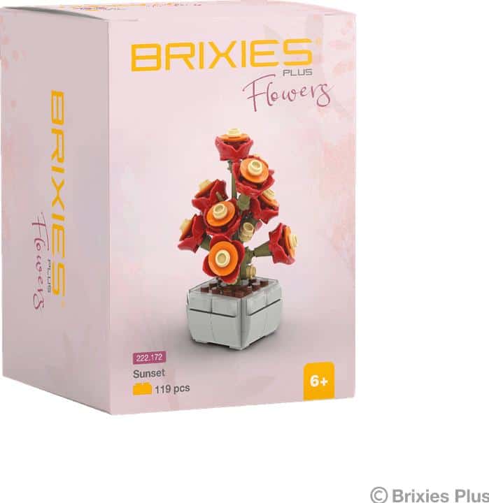 Oku Brixies Plus Flower Sunset Blossom Building Blocks