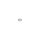 Bofix Toothed Spring Washer M6 Stainless Steel (P100)