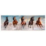 Cleronni Panorama Puzzle Horses, 1000st.