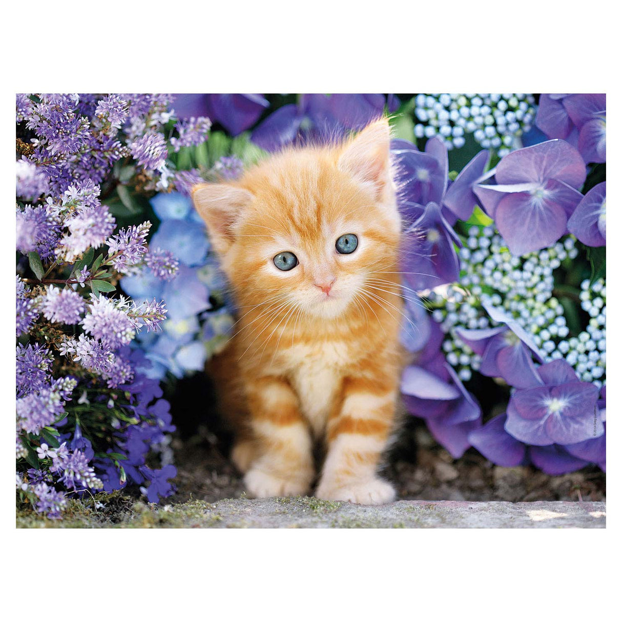 Clementoni Puzzle Cat avec des fleurs, 500e.