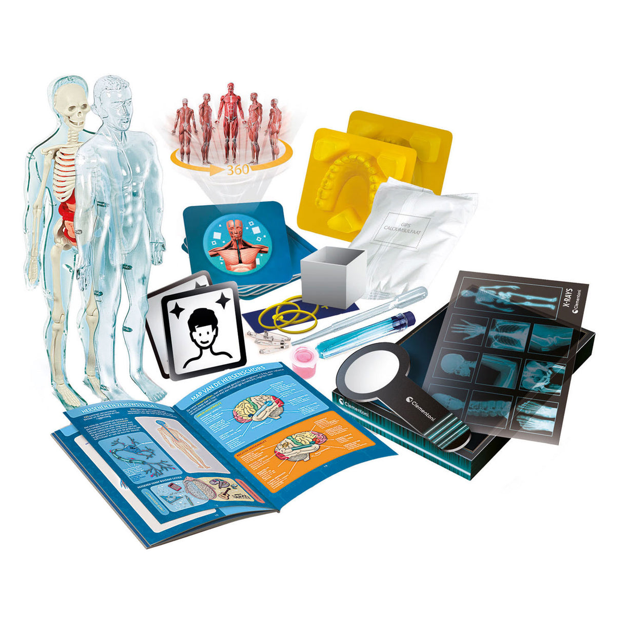 Clementoni science game - super anatomy - the human body - educational toys - from 8 years
