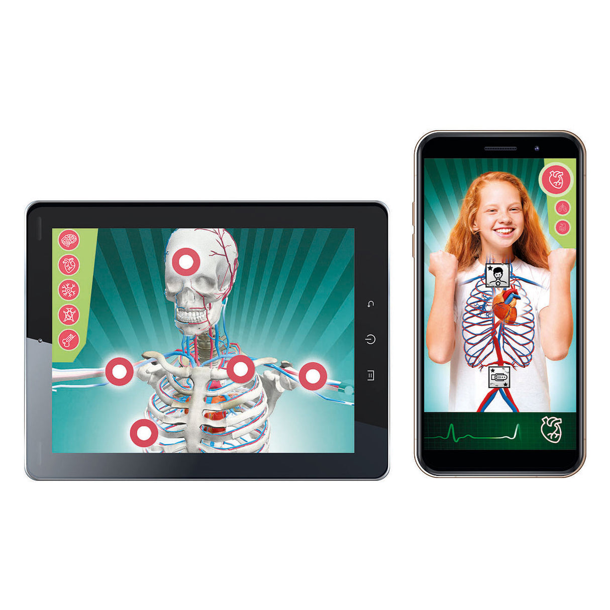 Clementoni science game - super anatomy - the human body - educational toys - from 8 years