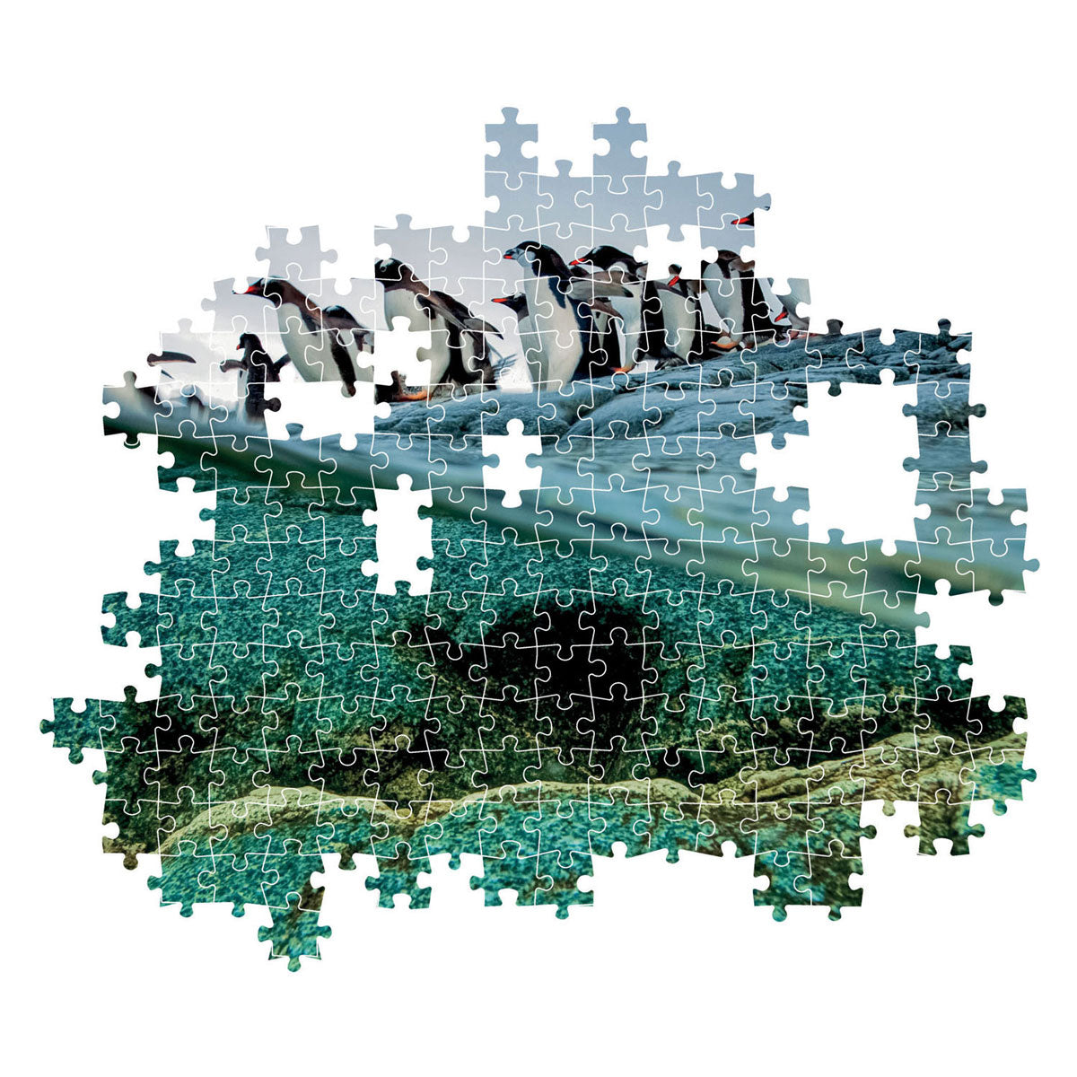 Clementoni Legpuzzel National Geographics Penguin, 1000st.