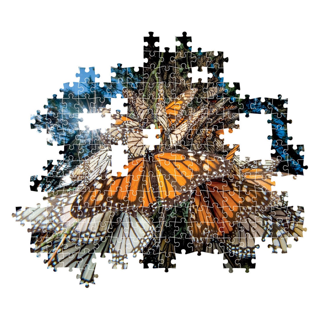 Clementoni Jigsaw Puzzle National Geographics - Butterfly, 1000.