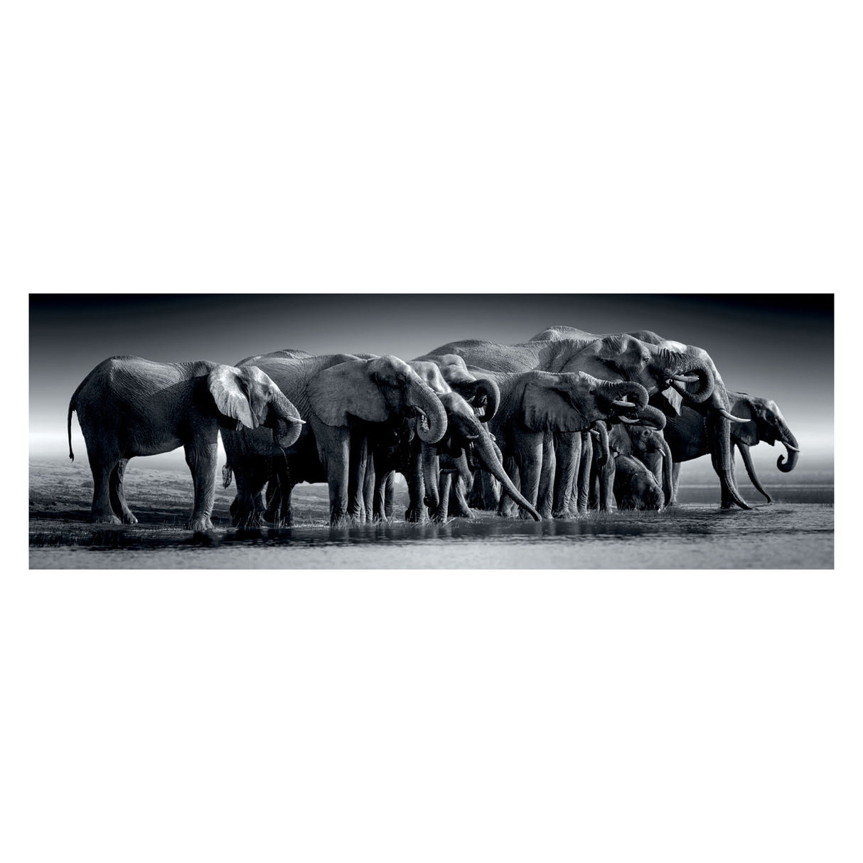 Clementoni Jigsaw Puzzle Panorama Herd eller Giants, 1000st.