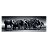 Clementi Jigsaw Puzzle Panorama Herd ali Giants, 1000st.