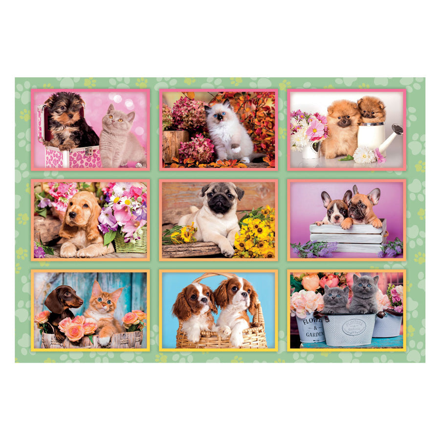 Cleronni Jigsaw Puzzle Super Color Puppies Colrage, 180st.