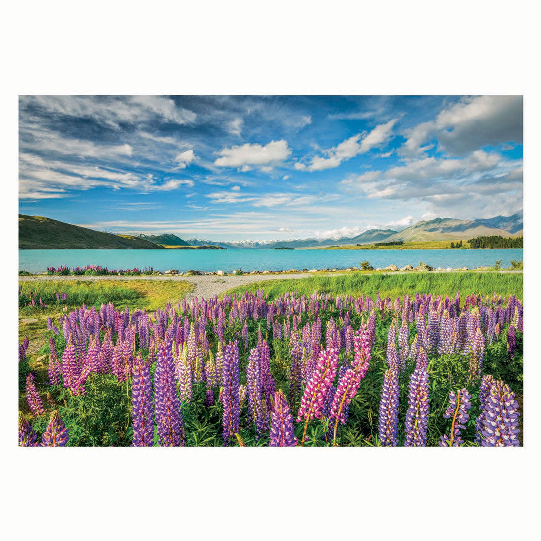 Clementoni Puzzel Blummen am Lake Tekapo, 1500 Stéck.