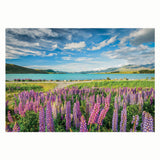 Clementoni Puzzel Blummen am Lake Tekapo, 1500 Stéck.