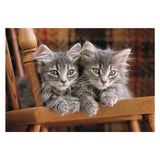 Clementoni jigsaw puzzle kittens, 500 pcs.
