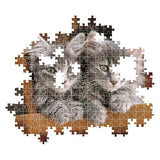 Clementoni jigsaw puzzle kittens, 500 pcs.