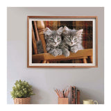 Clementoni jigsaw puzzle kittens, 500 pcs.