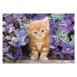 Clementoni clemetoni jigsaw puzzle ginger cat, 500 pcs.