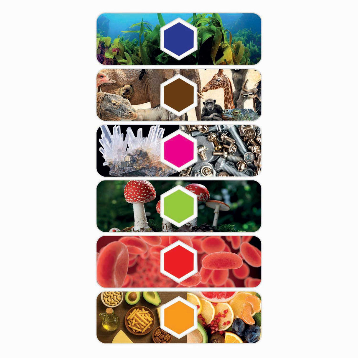 Clementoni science game microscope smart