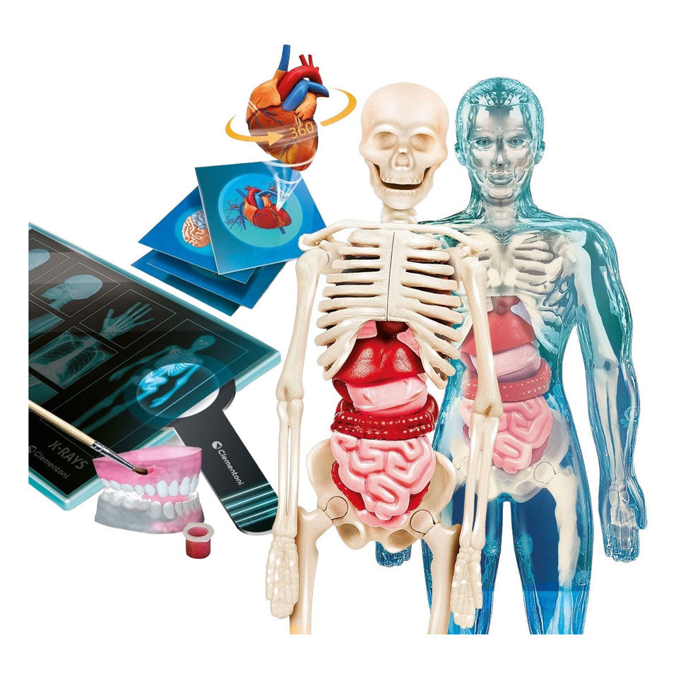 Ciência e jogo Clementoni - super anatomia