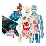 Ciência e jogo Clementoni - super anatomia