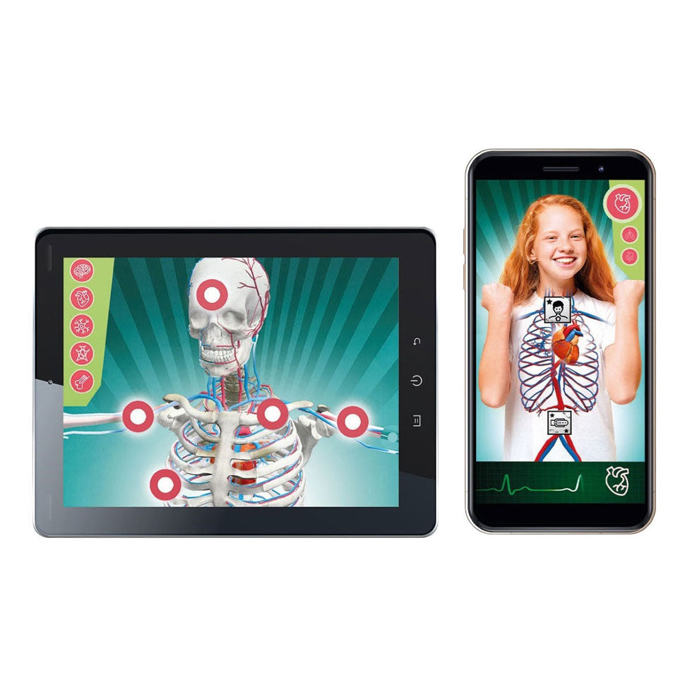 Ciência e jogo Clementoni - super anatomia