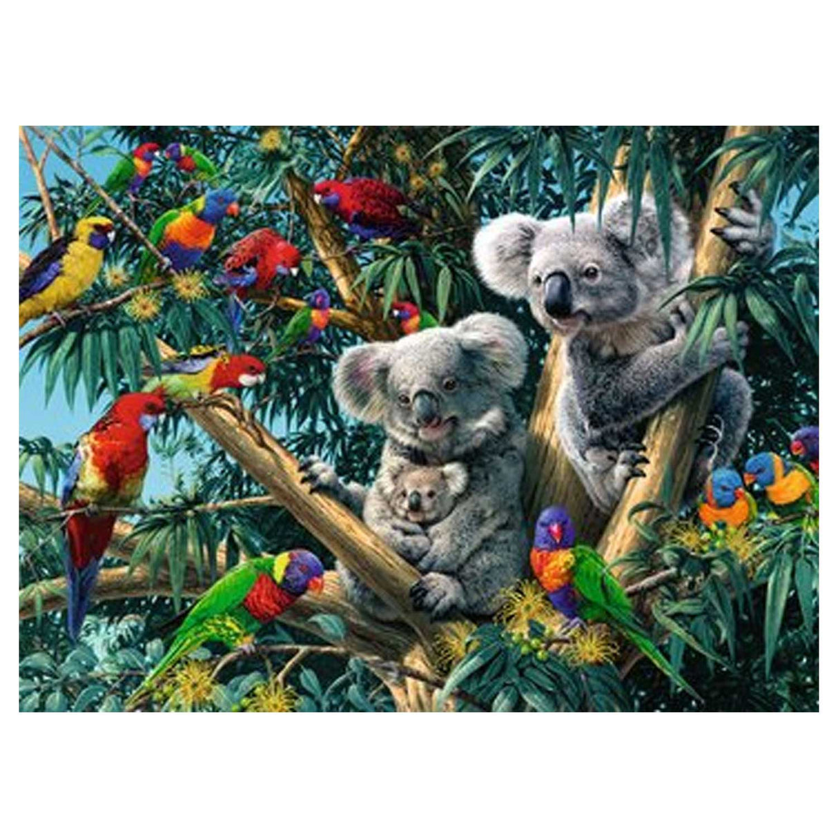 Ravensburger Koalas na drzewie 500st.