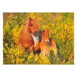 Ravensburger Shetland Ponies, 100: e. Xxl